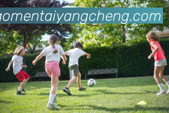 太阳城娱乐APP 体育赛事宣传图